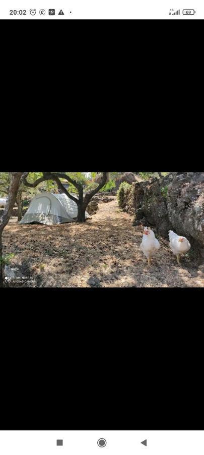 Montargano Tenda Etna Into The Wilde מראה חיצוני תמונה